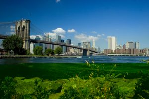New york